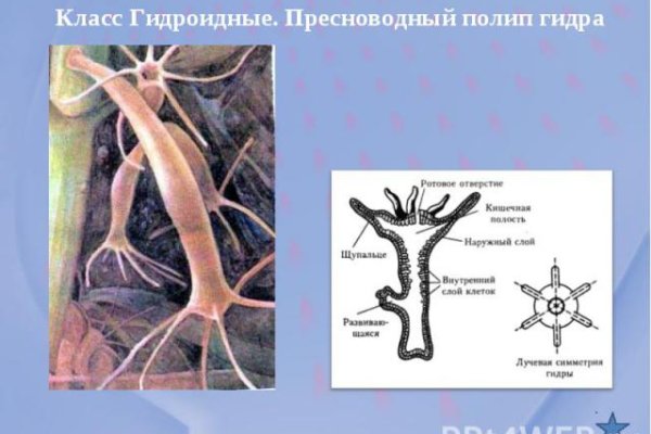 Как зайти в кракен через айфон