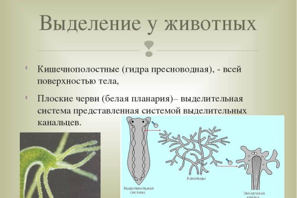 Как найти кракен в торе